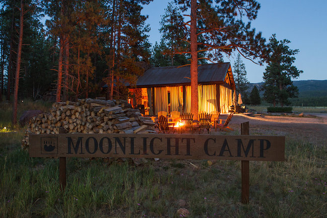 moonlight camp