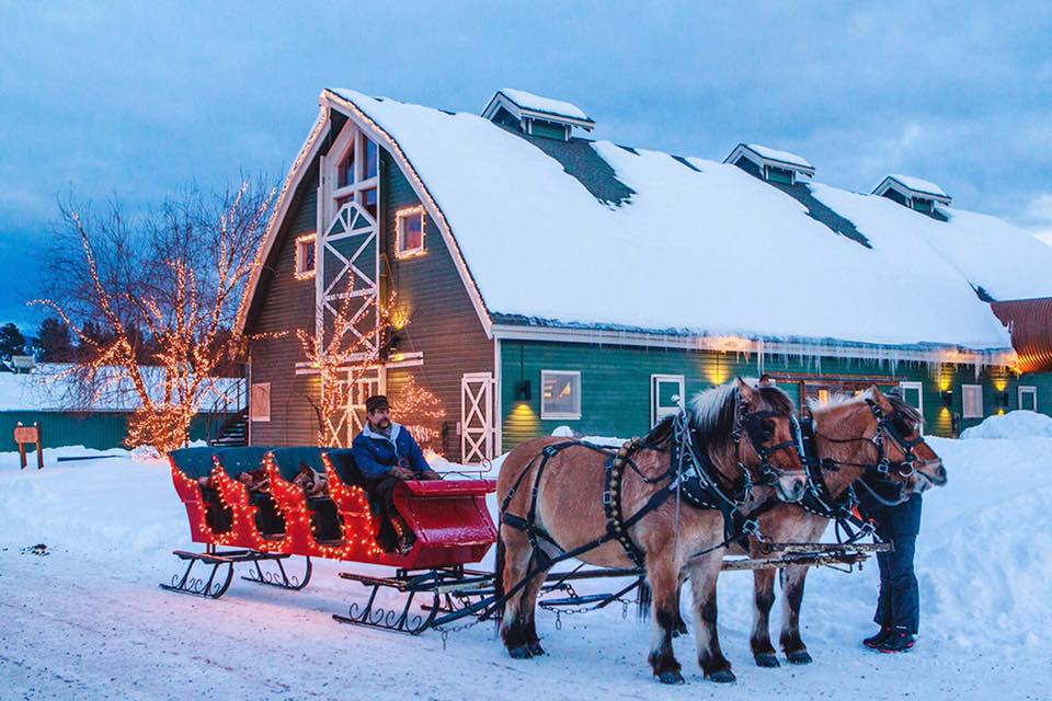 sleigh rides at the resort at paws up