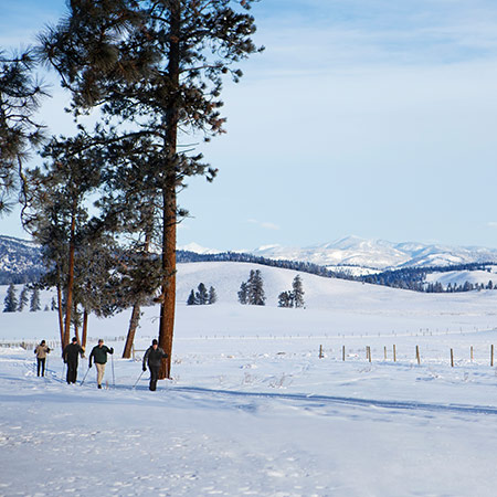 Cross-Country Skiing