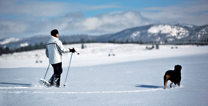 cross-country-skiing