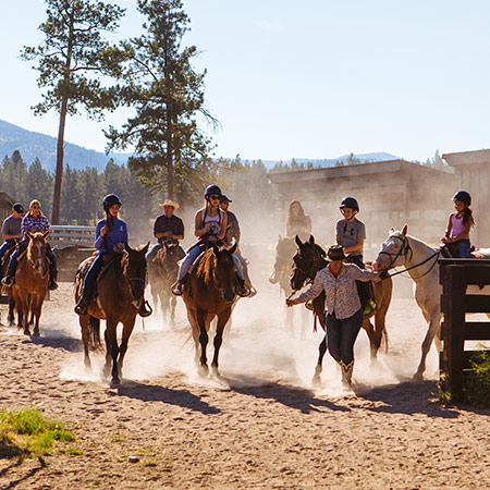 Equestrian Lessons