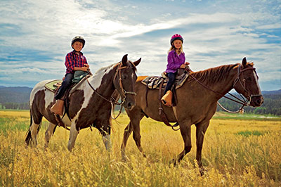 Equestrian Lessons