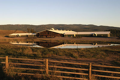 Equestrian Lessons