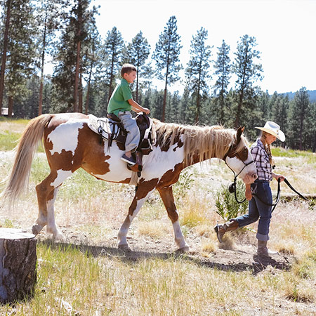 Junior Wrangler