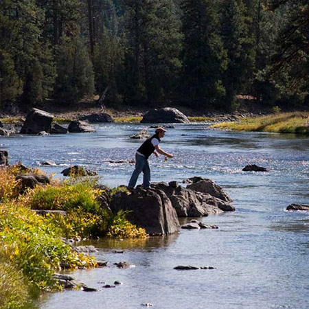 Fishing