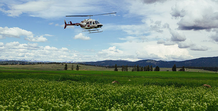 Glacier National Park Helicopter Tour