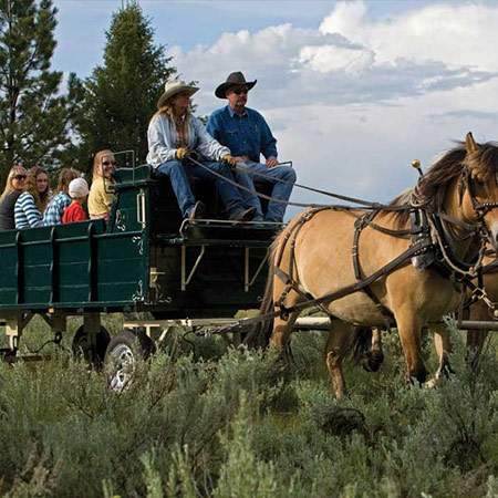Horse Drawn Carriage Rides