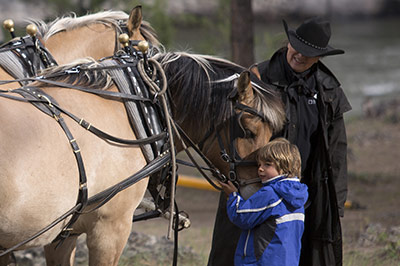 Horse Drawn Carriage