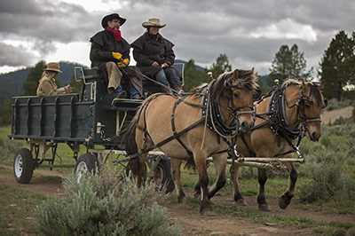 Horse Drawn Carriage