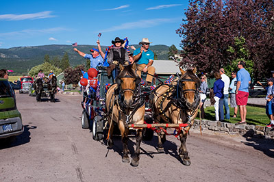 Horse Drawn Carriage