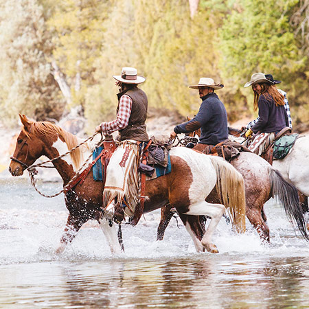 Horseback Riding