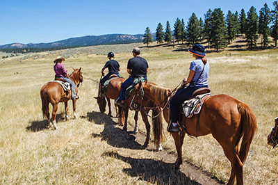 Montana Horseback Riding