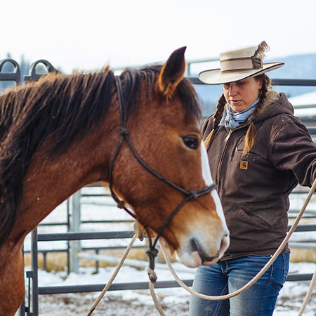 Horsepower: Where Mustangs and Mindfulness Coexist