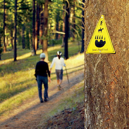 Nature Hike