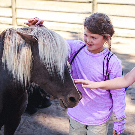 Pony Rides