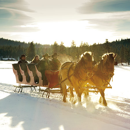 Sleigh Rides