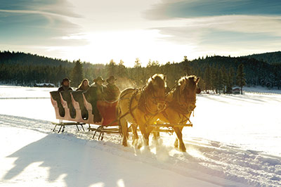 Sleigh Rides