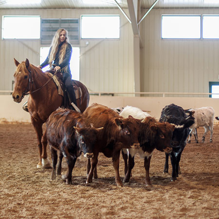 Team Penning