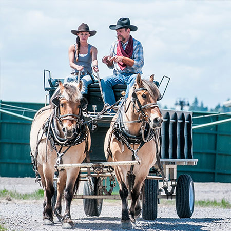 Wagon Team Driving