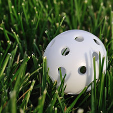 Wiffle ball