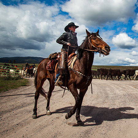 Cowgirl Spring Roundup