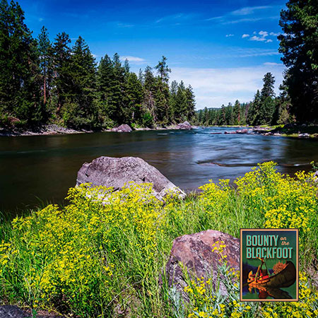 Bounty on the Blackfoot