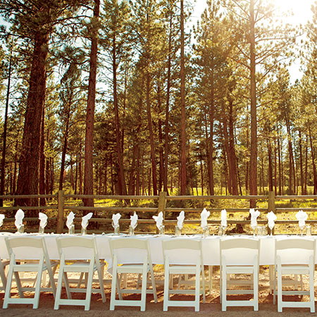 Montana Long Table