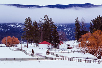 Winterfest