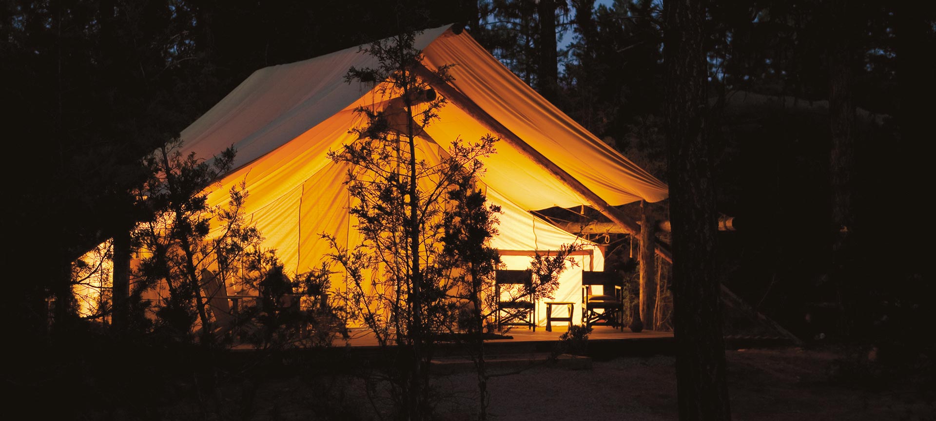 Moonlight Camp