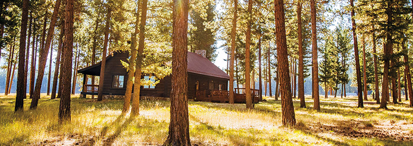 Timber Home Exterior