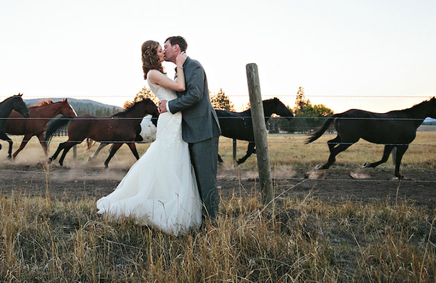 Montana Wedding