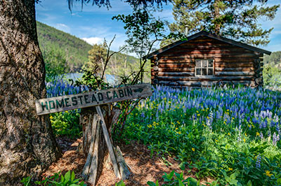 Island Lodge at Salmon Lake