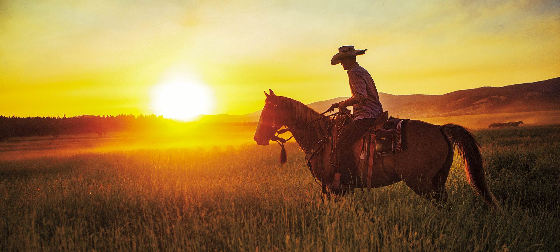 Horseback riding at sunset.