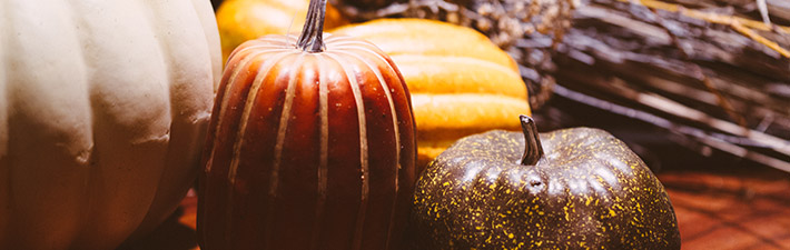 Fall Package