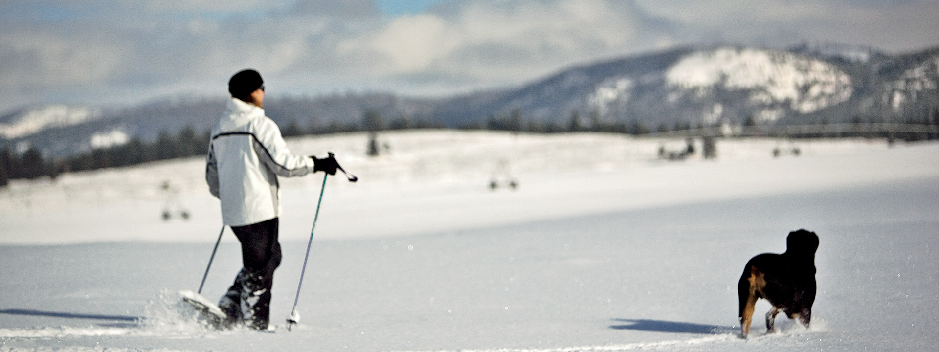 Winter Activities