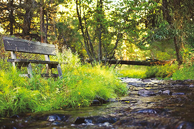 Creekside Camp - Elk Creek