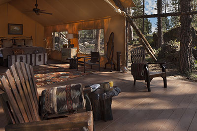 Moonlight Camp Tent - Interior