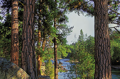 Pinnacle Camp - View of the Blackfoot River
