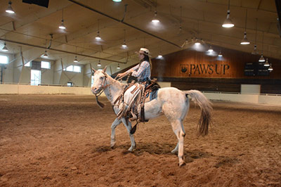 Saddle Club Arena