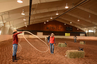 Saddle Club Arena