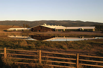 Saddle Club Exterior