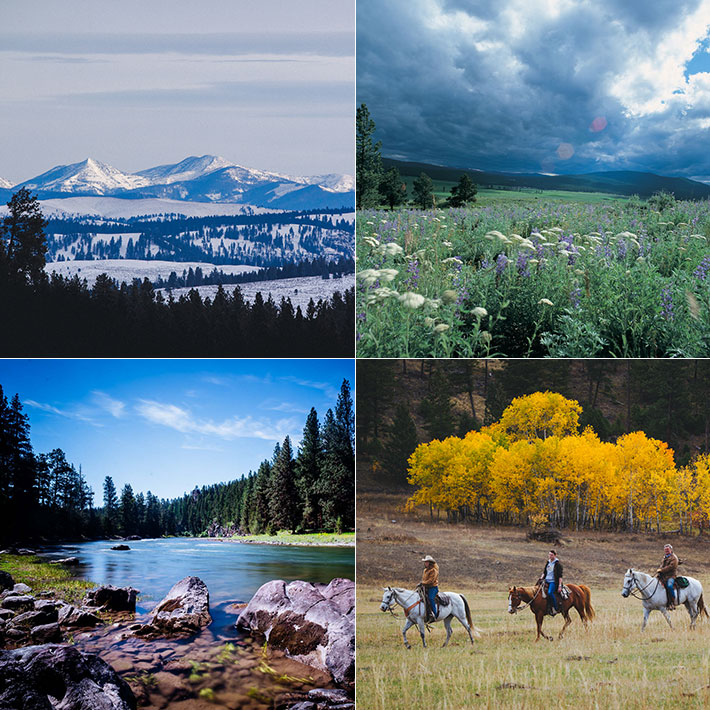 The Four Seasons
