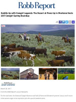robb-report-online-csr