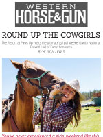 western-horse-and-gun