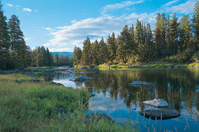 Blackfoot River Lodge - The Blackfoot River