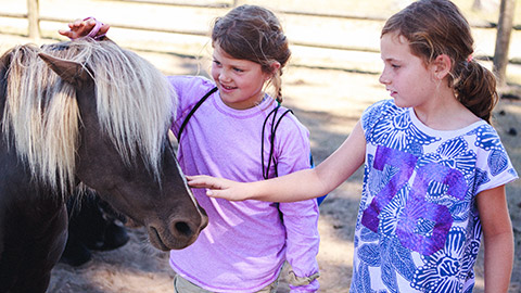 Kids at Paws Up