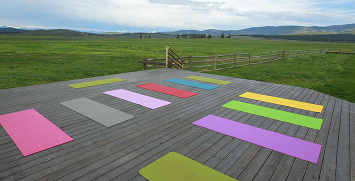Yoga & Wellness