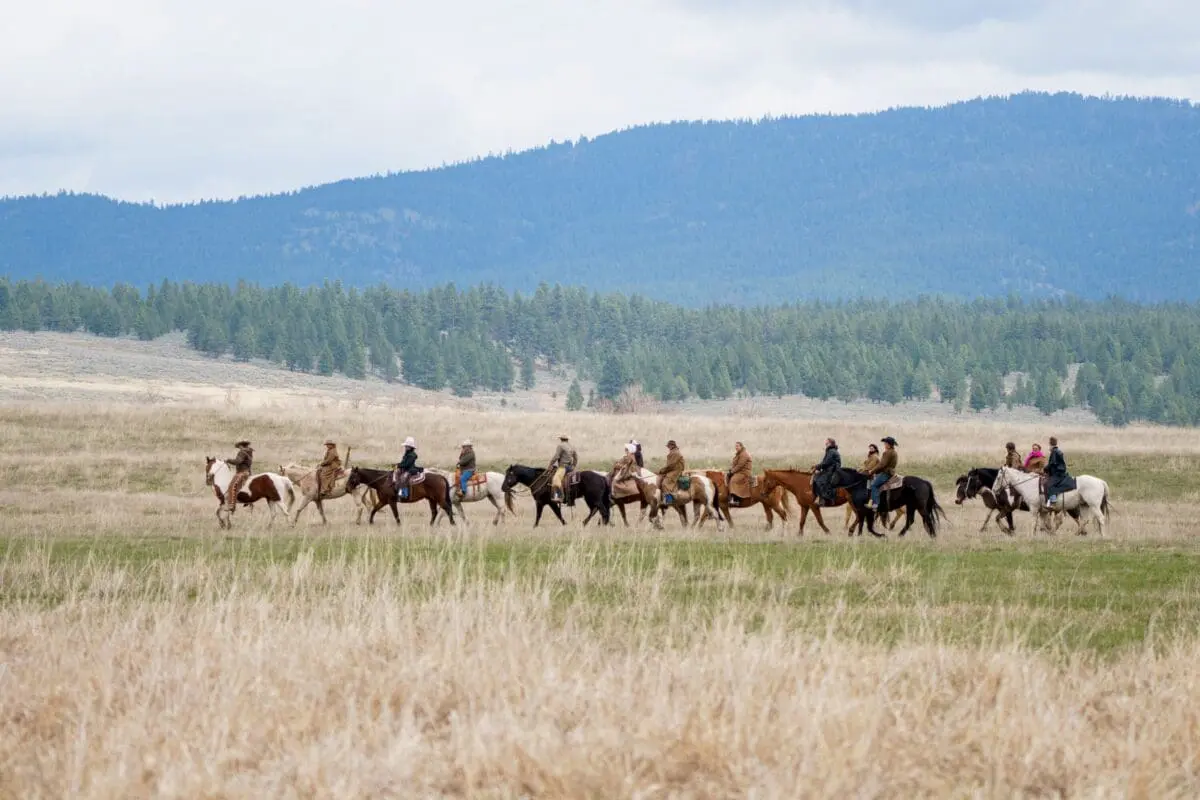 Group of female cowgirls hearing a group of cattle on a hill.