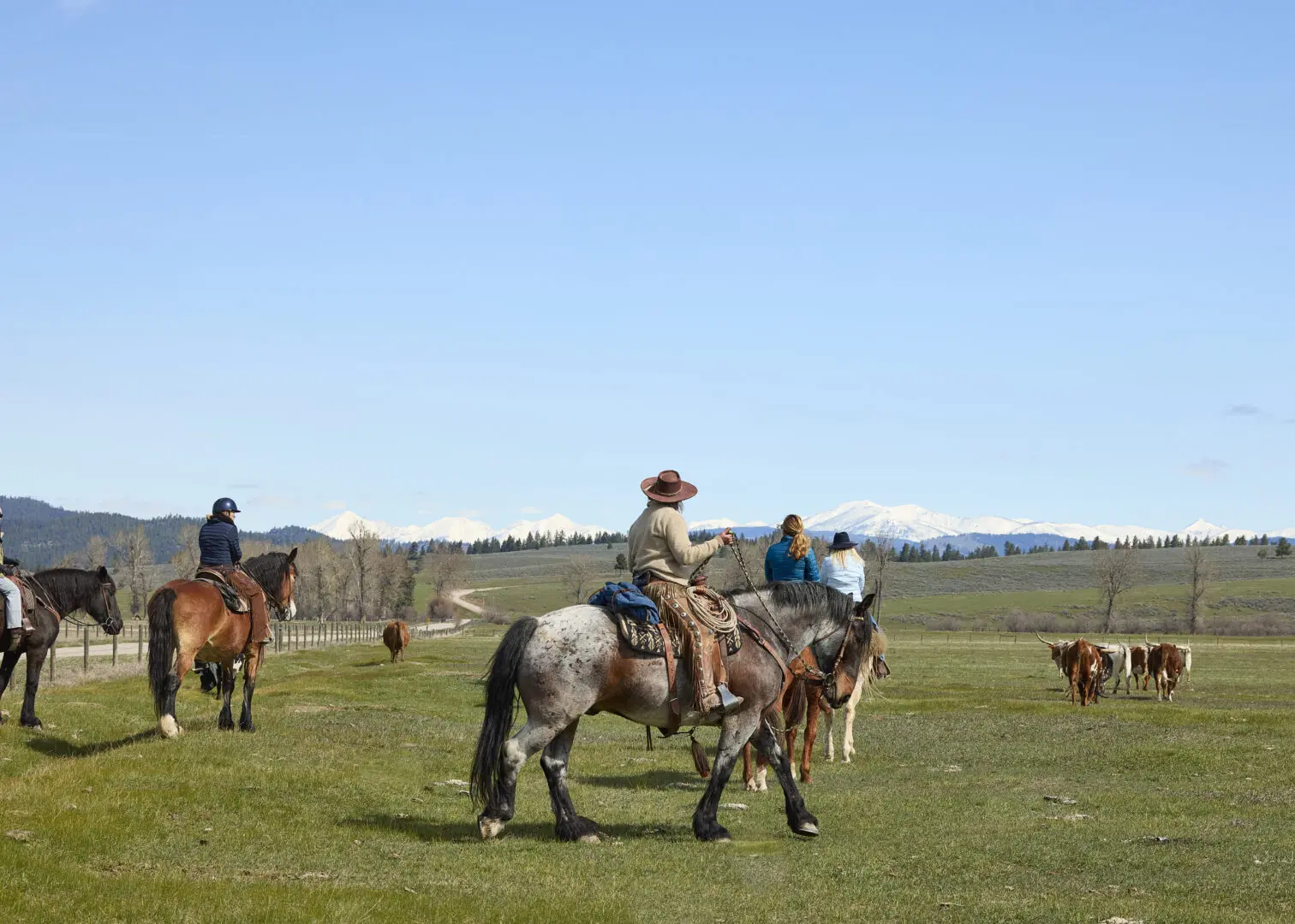 Group of cowgirls riding on a field with mountains behind them.