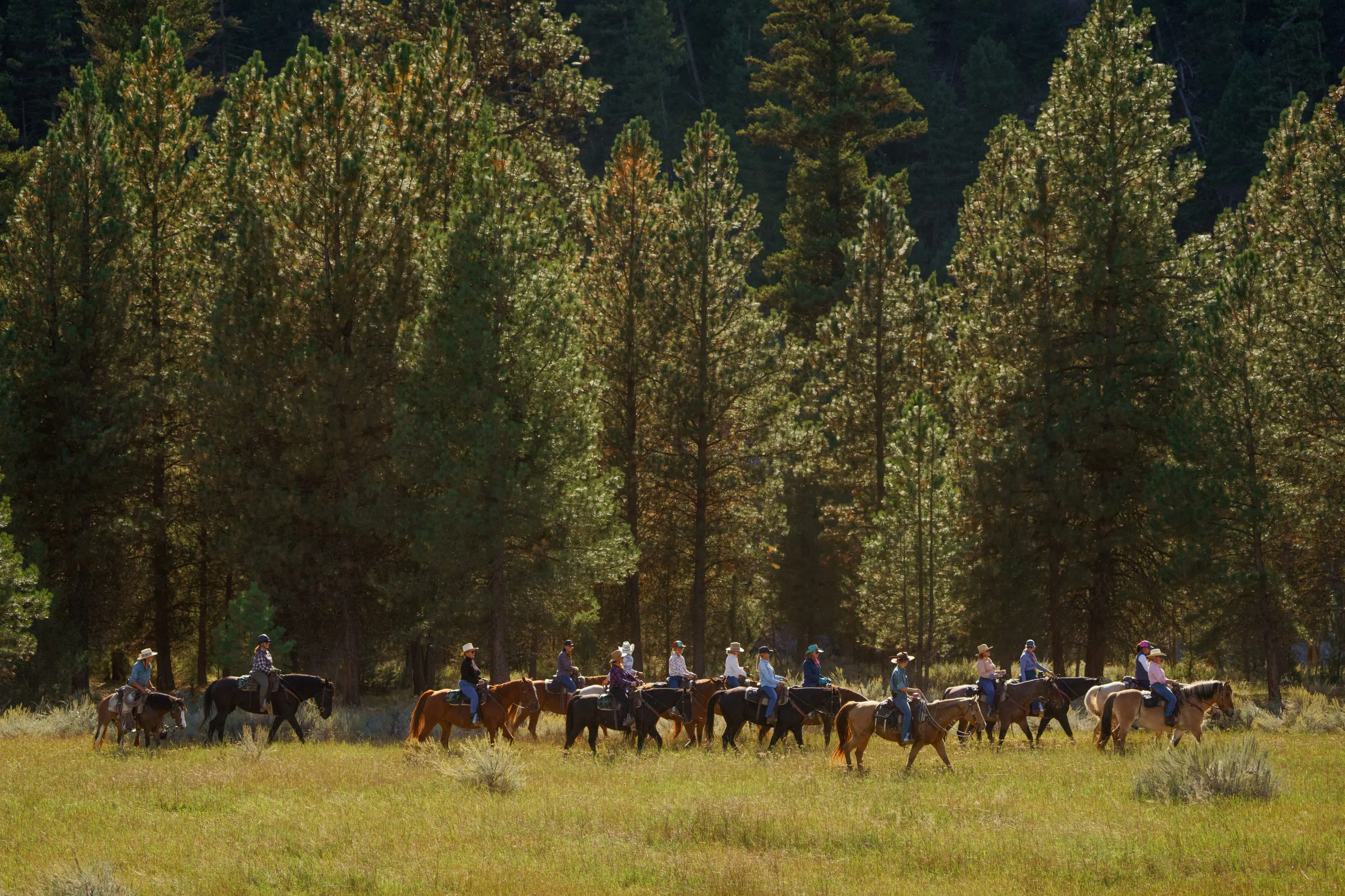 Group of cowgirls riding on a field with a forest behind them.